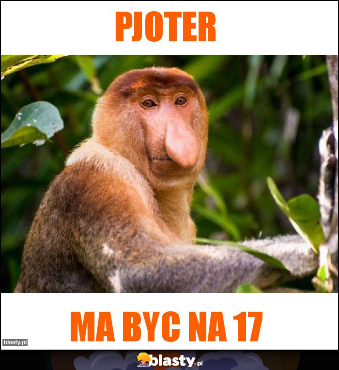 Pjoter