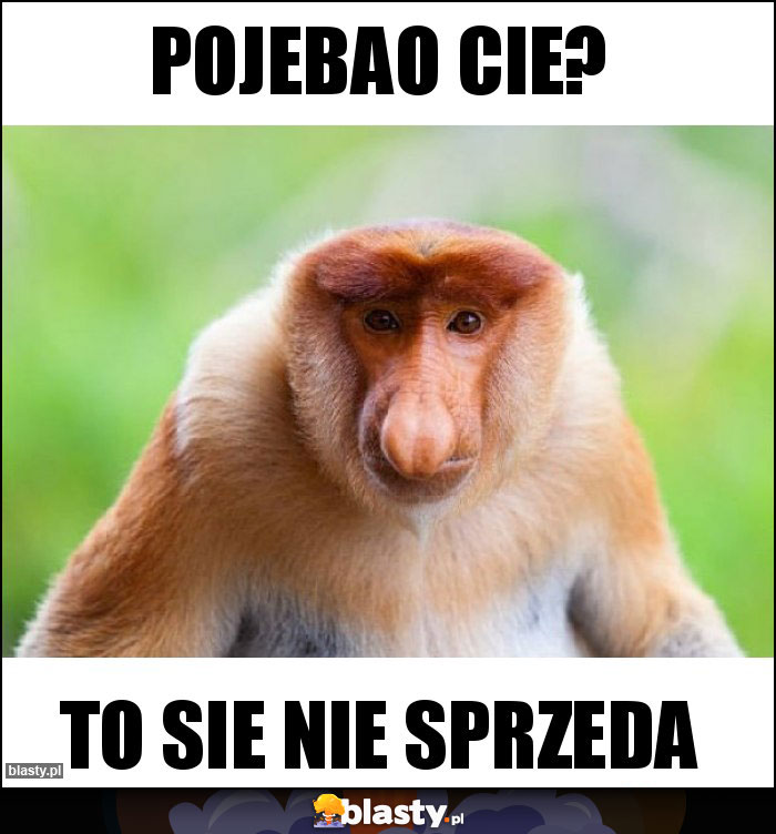 Pojebao cie?