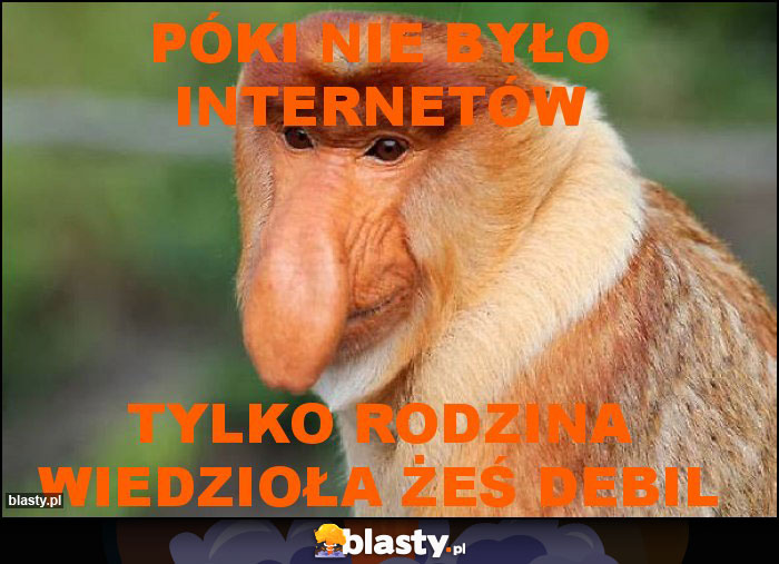 Póki nie było internetów