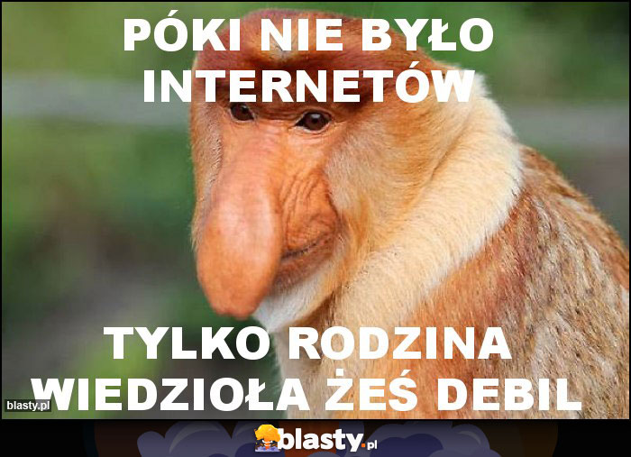 Póki nie było internetów