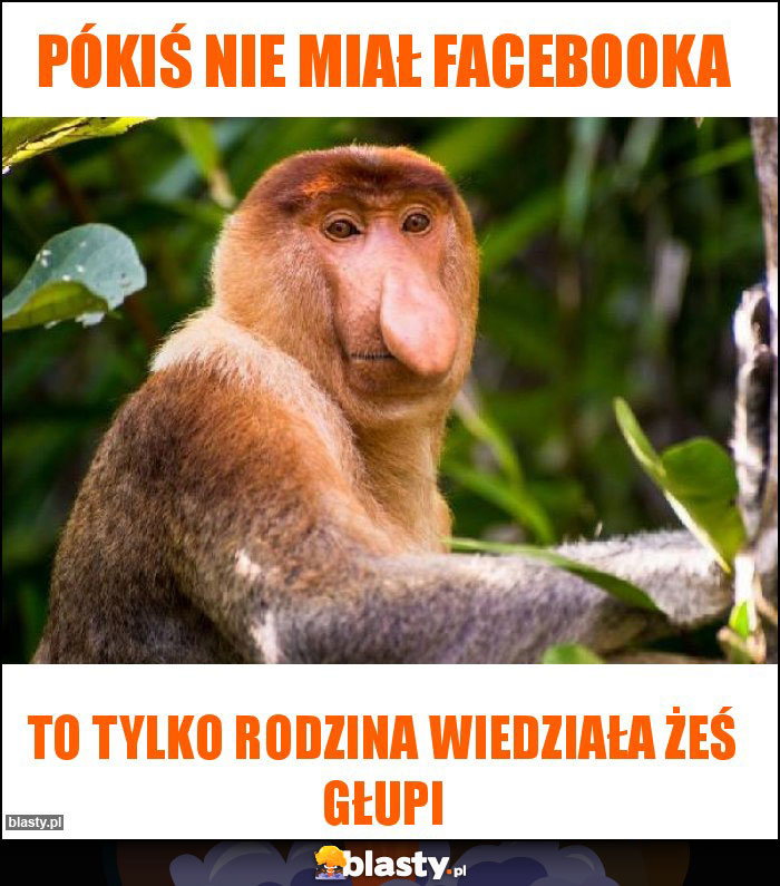 Pókiś nie miał facebooka