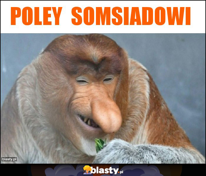 Poley  somsiadowi