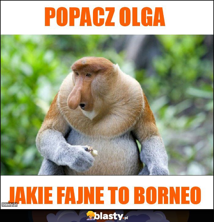 Popacz olga