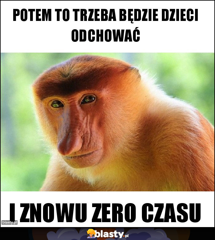 Potem to trzeba będzie dzieci odchować