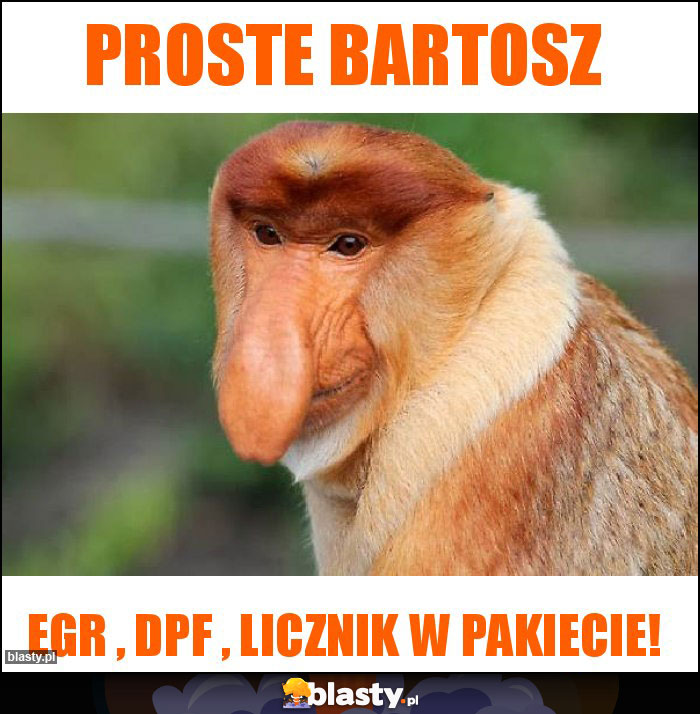 Proste Bartosz