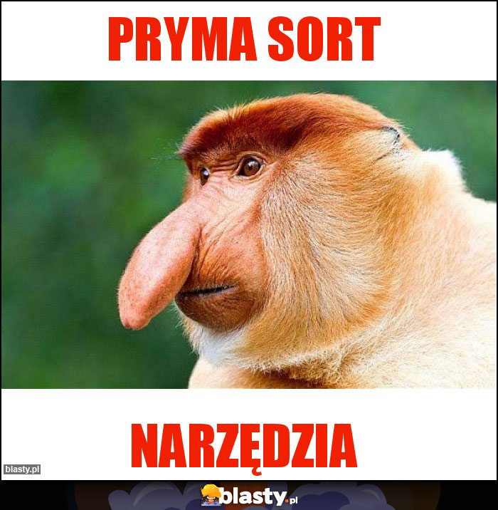 PRYMA SORT