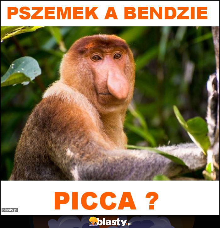 Pszemek a bendzie