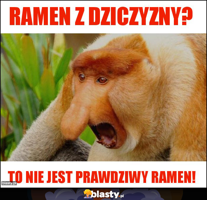 RAMEN Z DZICZYZNY?