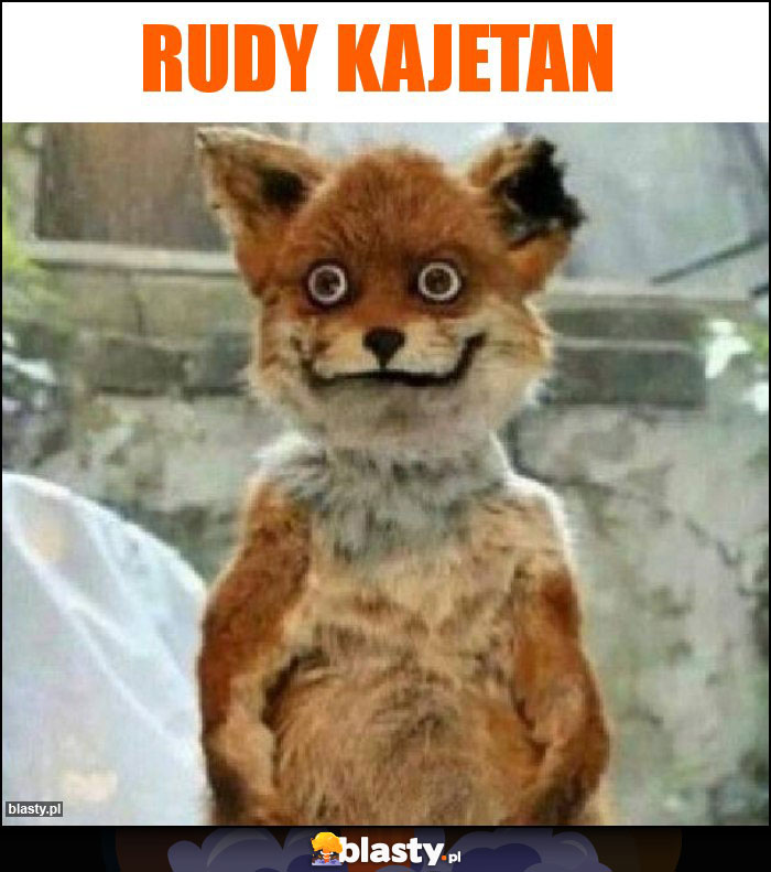 Rudy kajetan