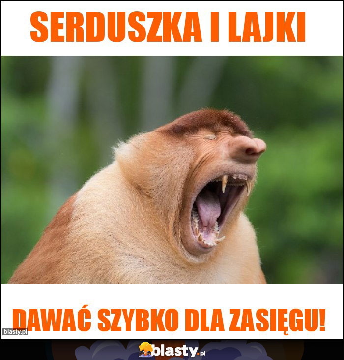 SERDUSZKA I LAJKI