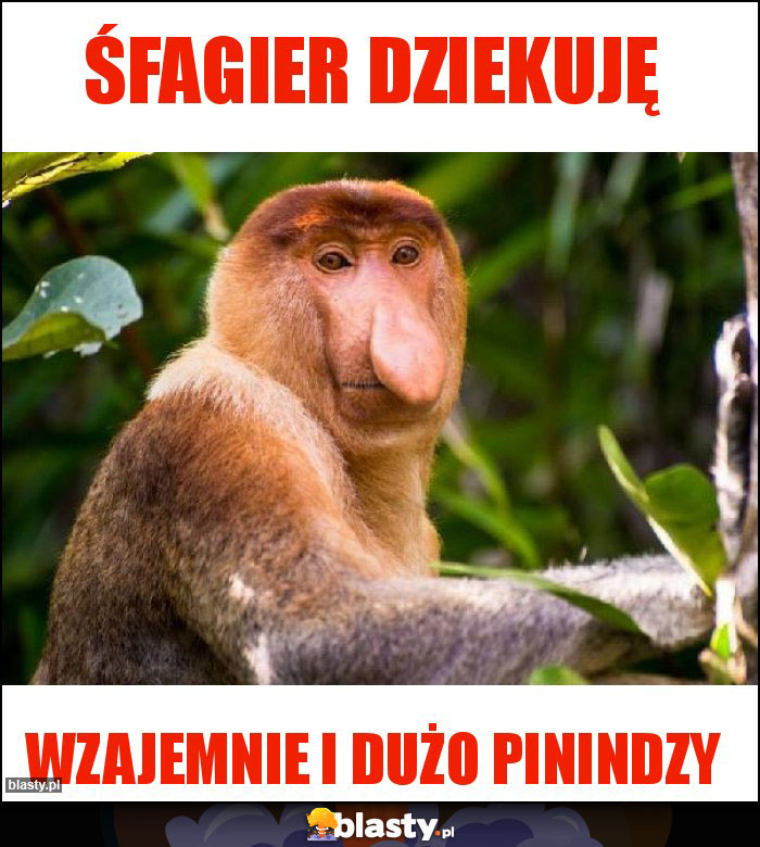 Śfagier dziekuję