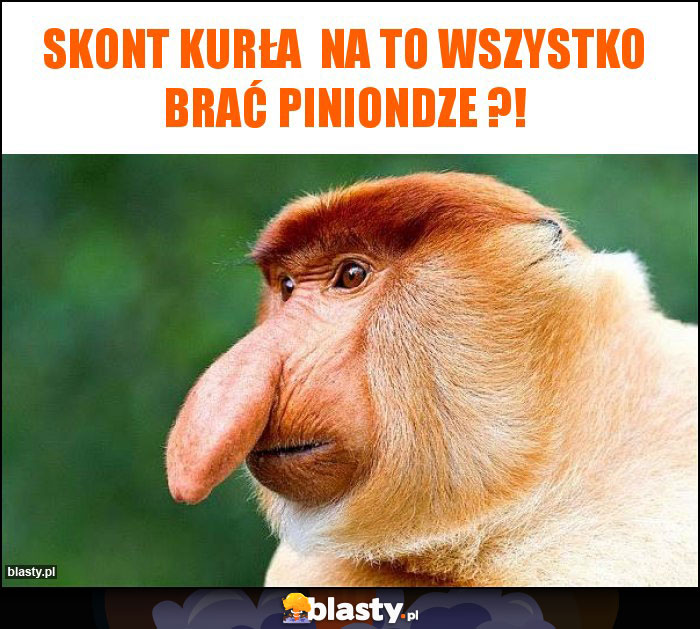 skont kurła  na to wszystko brać piniondze ?!