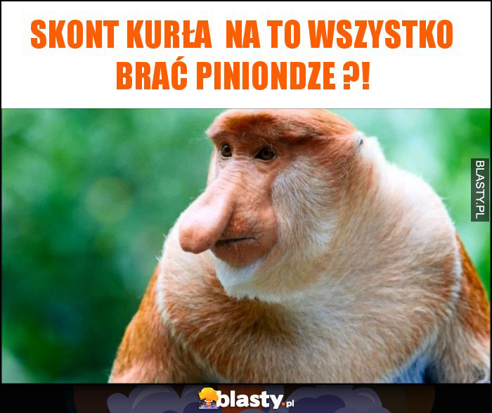 skont kurła  na to wszystko brać piniondze ?!