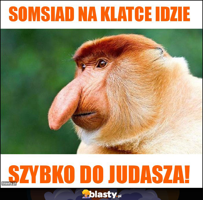 somsiad na klatce idzie