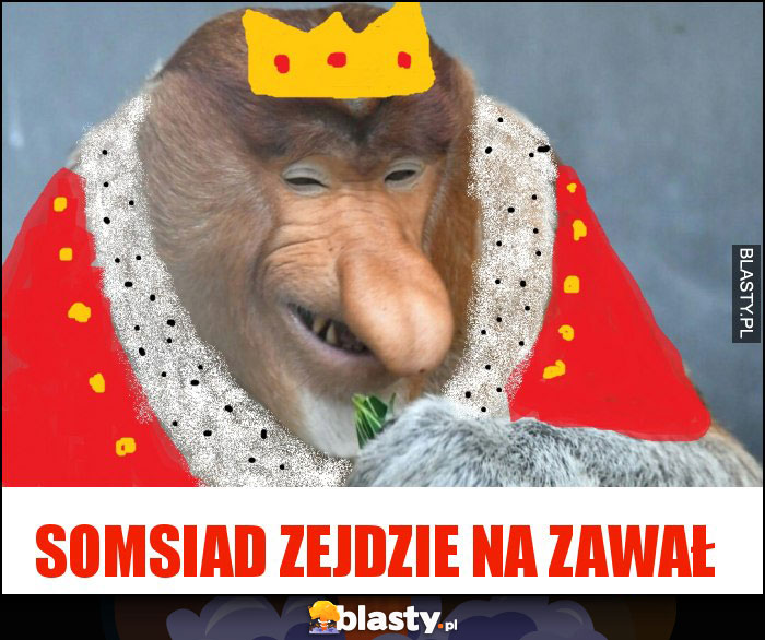 SOMSIAD ZEJDZIE NA ZAWAŁ