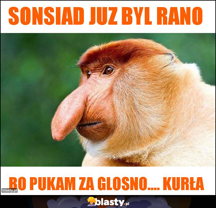 sonsiad juz byl rano