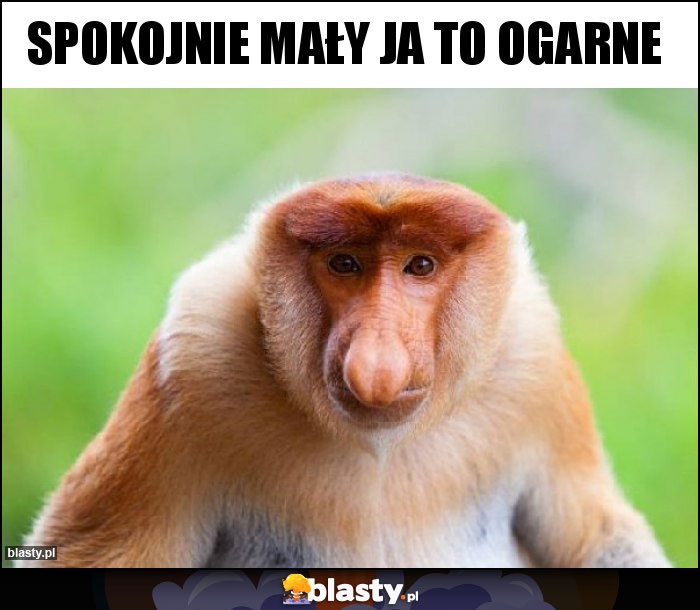 Spokojnie mały ja to ogarne