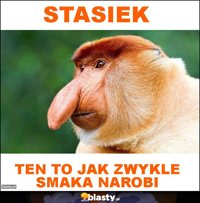 STASIEK