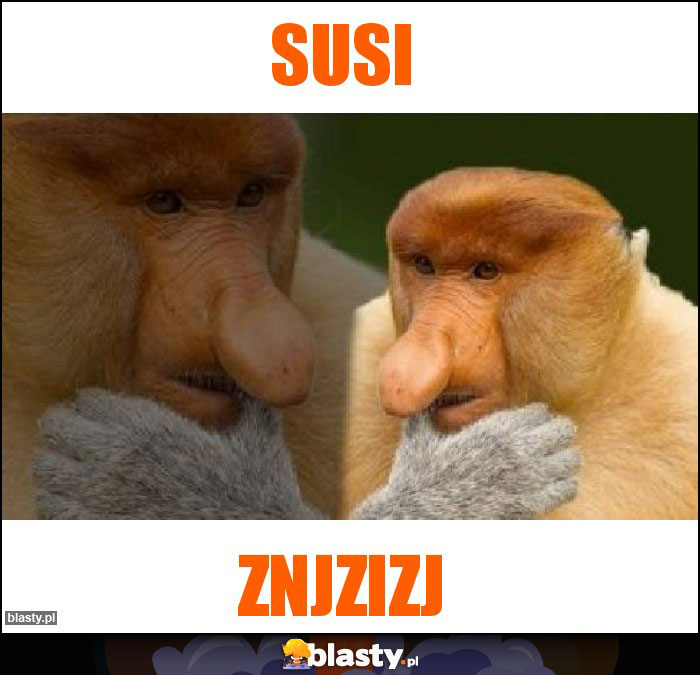 Susi