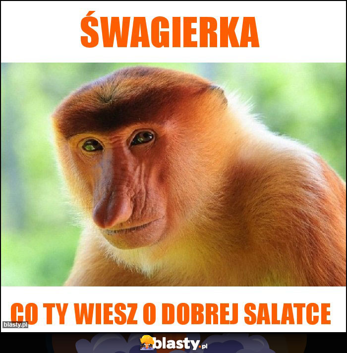 Śwagierka