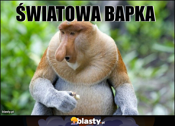 Światowa bapka