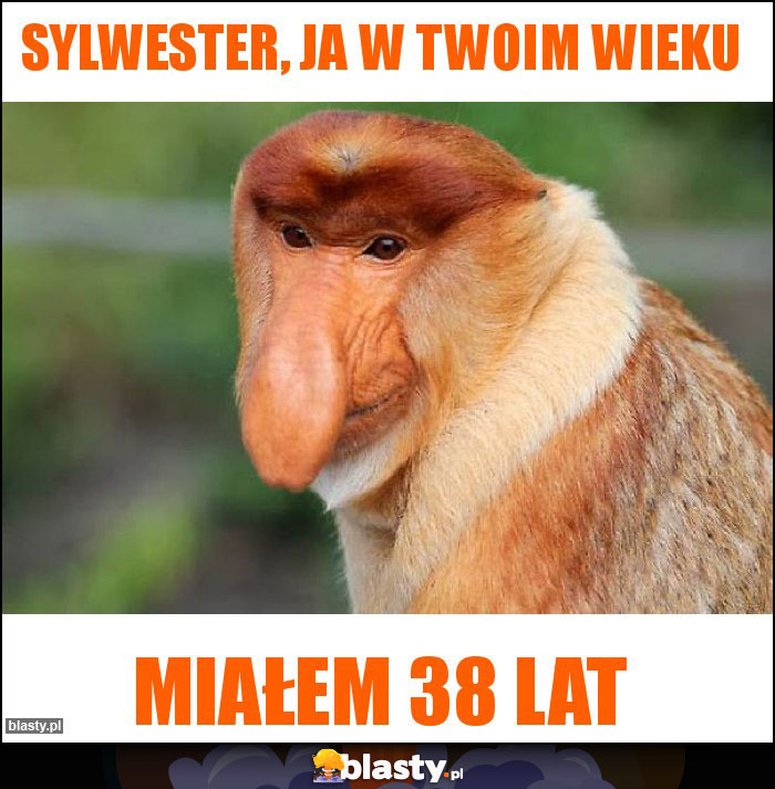 Sylwester, ja w twoim wieku