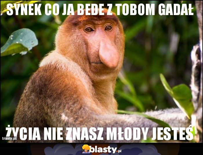 SYNEK CO JA BEDE Z TOBOM GADAŁ