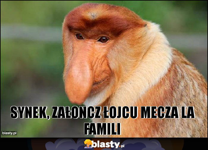 Synek, załoncz łojcu mecza la famili