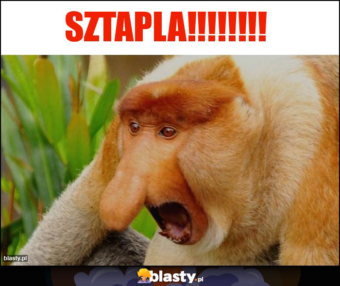 Sztapla!!!!!!!!