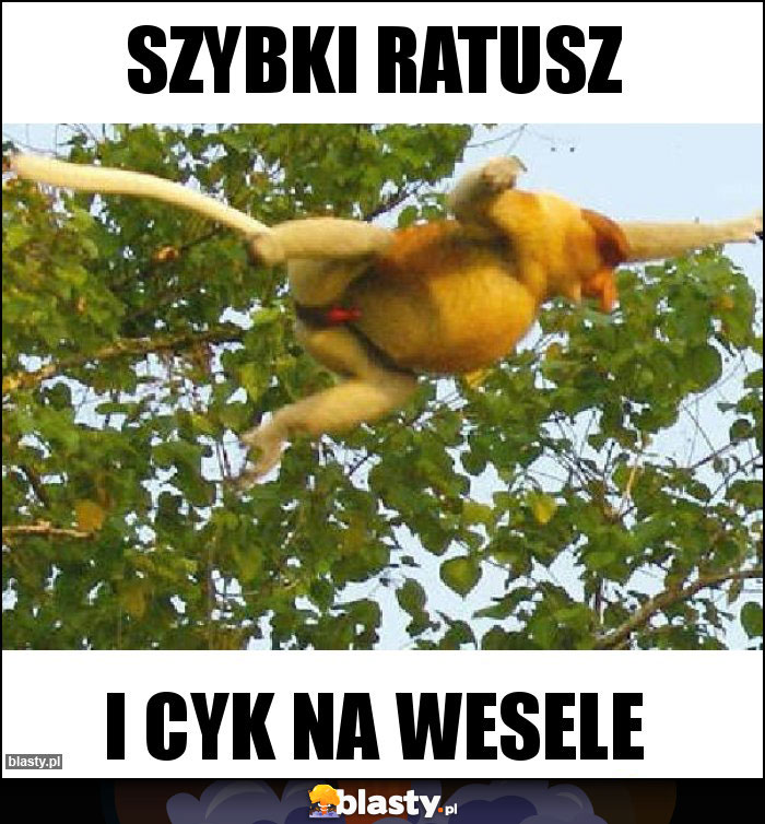 Szybki ratusz