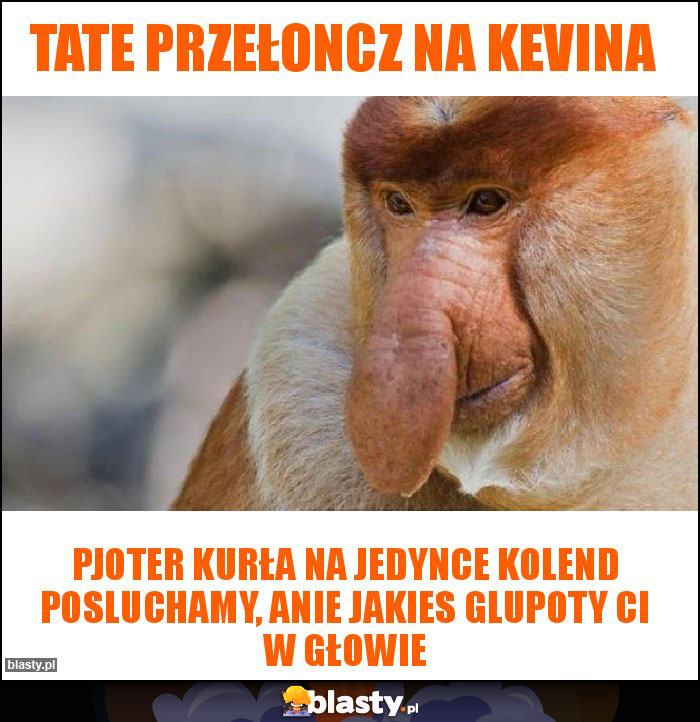 Tate przełoncz na kevina