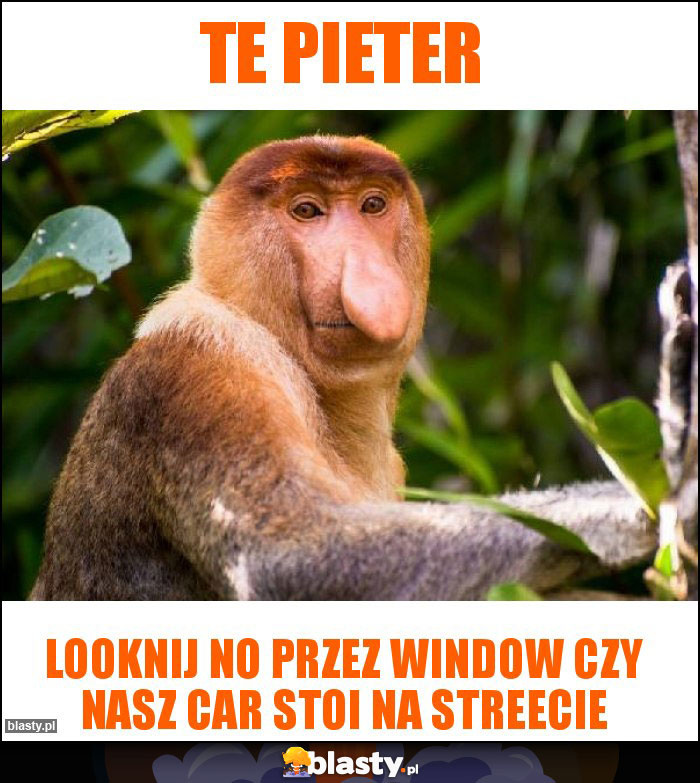 Te Pieter