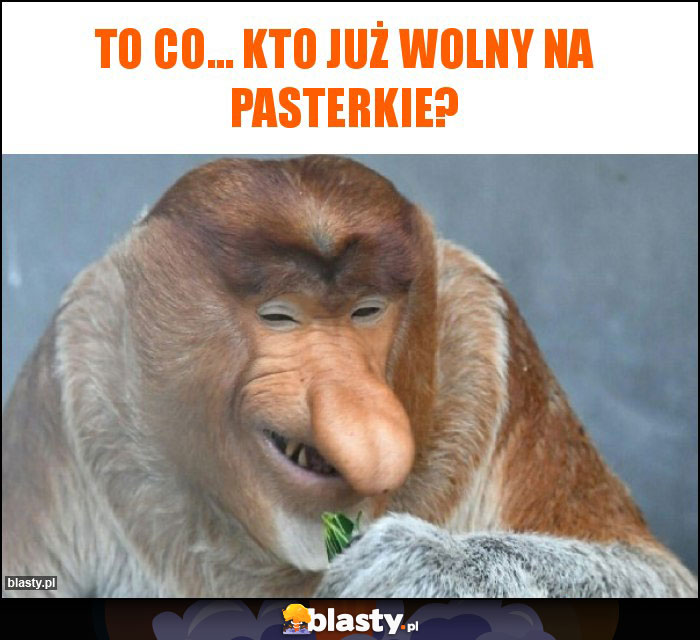 To co... kto już wolny na pasterkie?