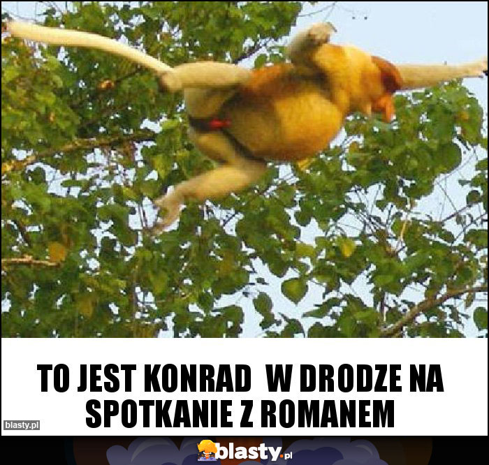 To jest konrad  w drodze na spotkanie z romanem