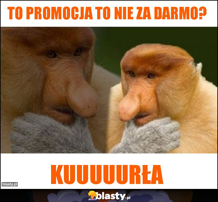 TO promocja to nie za darmo?