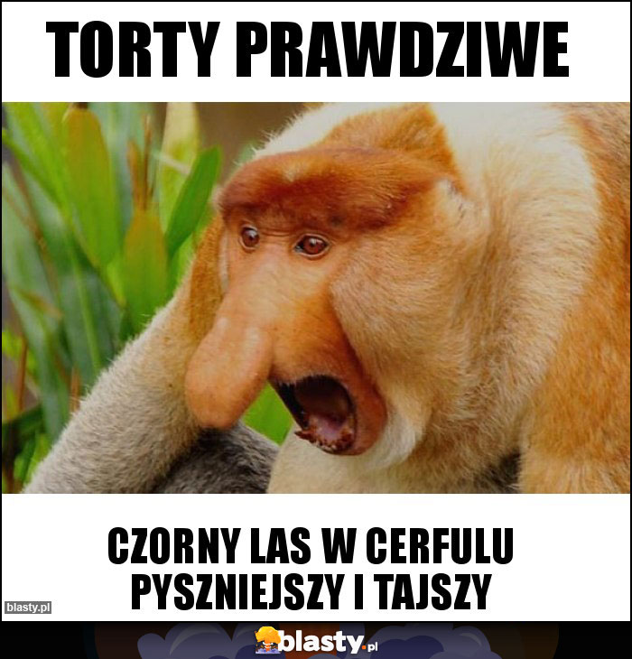 Torty prawdziwe