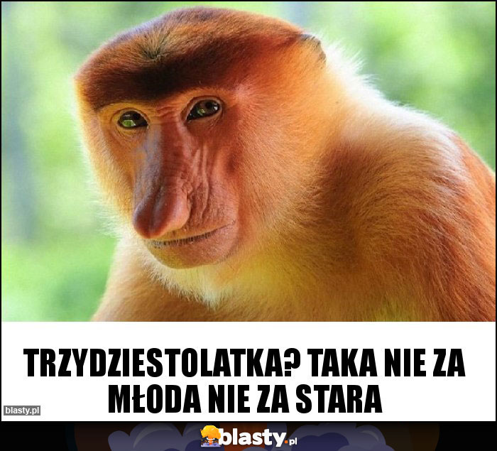 Trzydziestolatka? Taka nie za młoda nie za stara