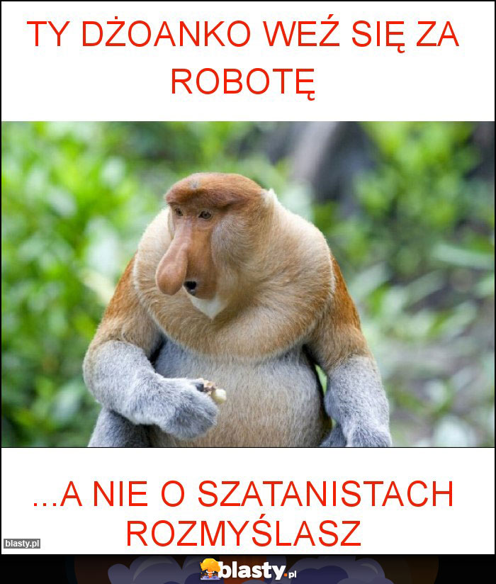 Ty Dżoanko weź się za robotę