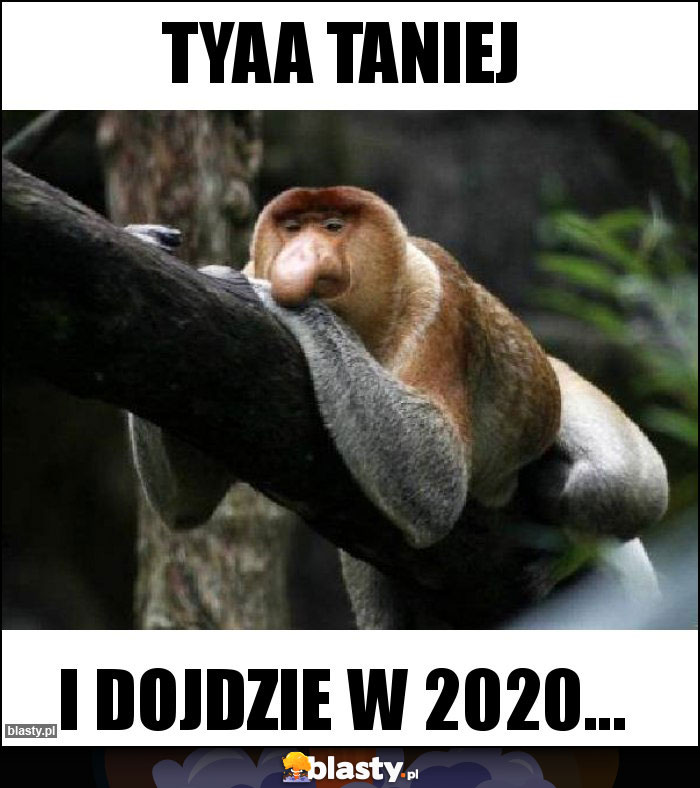 Tyaa taniej