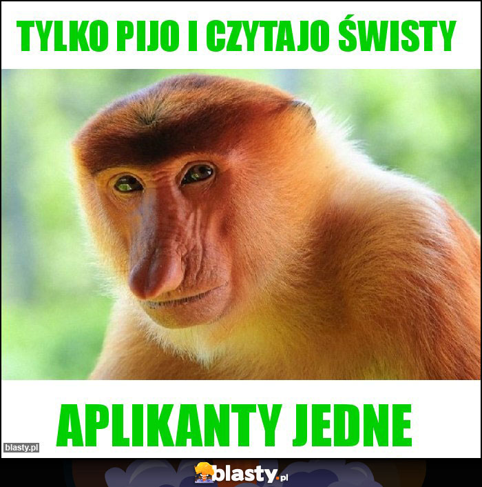 Tylko pijo i czytajo Świsty