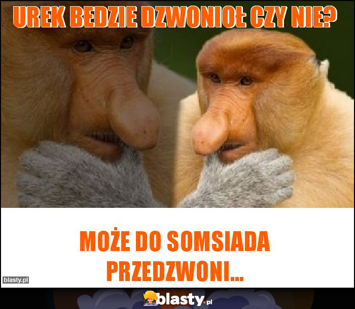 Urek bedzie dzwonioł czy nie?