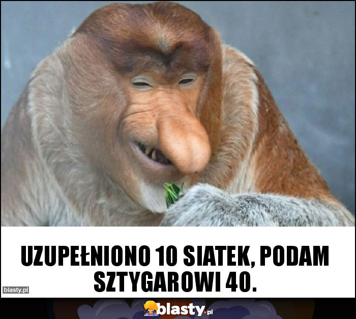 Uzupełniono 10 siatek, podam sztygarowi 40.