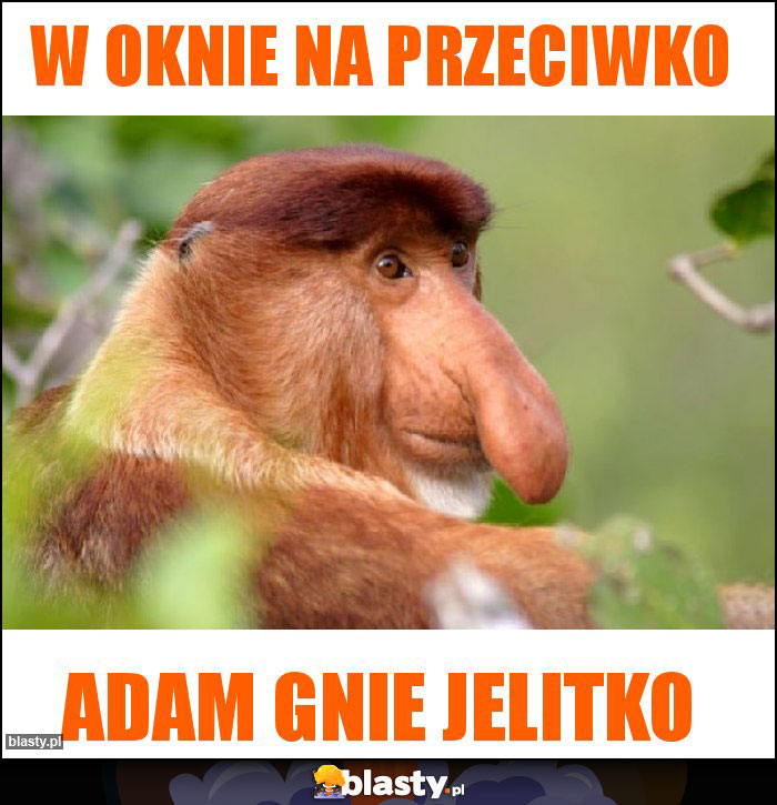 W oknie na przeciwko