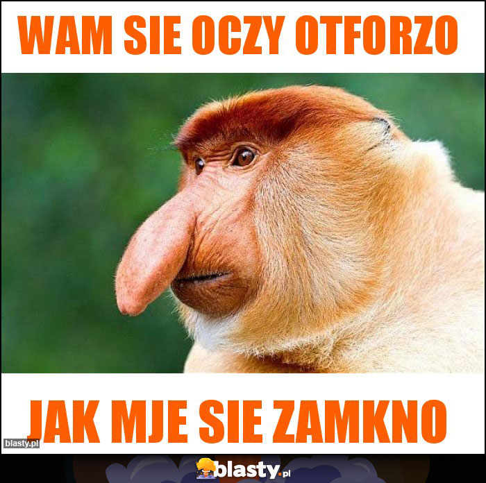 Wam sie oczy otforzo