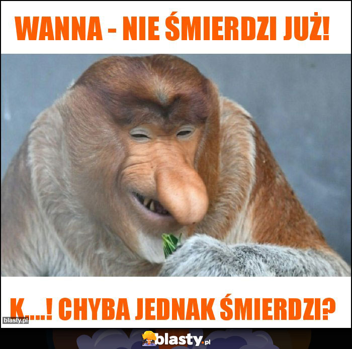 WANNA - NIE ŚMIERDZI JUŻ!