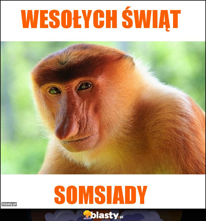 WESOŁYCH ŚWIĄT