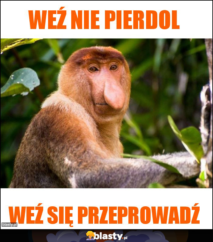 WEź NIE PIERDOL