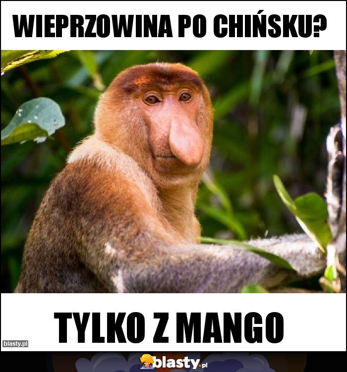 Wieprzowina po chińsku?