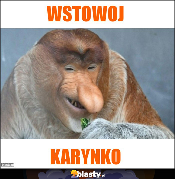 Wstowoj