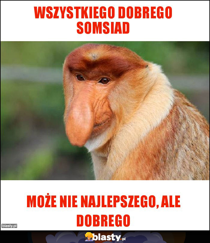 Wszystkiego dobrego somsiad